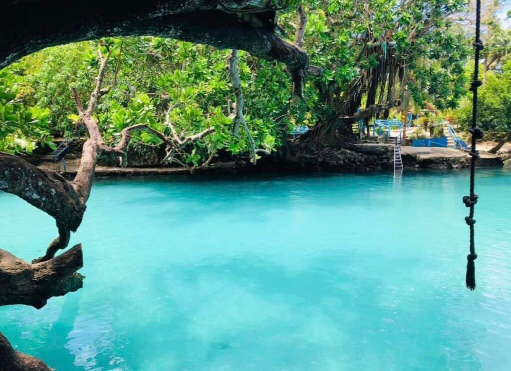 crystal clear blue lagoon vanuatu with rope swing and jump 