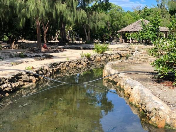 Nasinu Hot Springs -2